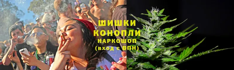 дарнет шоп  Камышлов  Шишки марихуана Ganja 